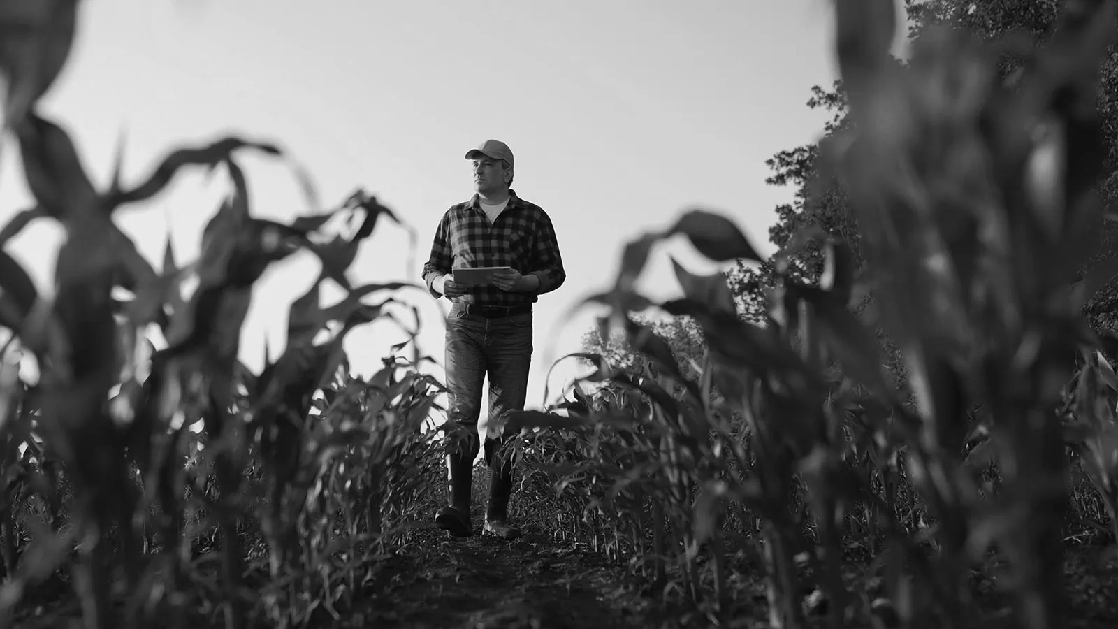 Aizdevums uzņēmumiem vietējo uzņēmēju attīstībai